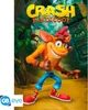 Plakát Crash Bandicoot Classic Crash 61x91,5cm Náhled obrázku produktu 6