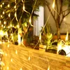 A close-up view of warm white string lights draped over a textured wall, with blurred greenery and trees in the background. Voir les images du produit