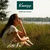 Kneipp Duftkerze Tiefenentspannung - Sandelholz und Produktbild-Vorschau 4