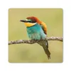 MuchoWow® Mauspad Mousepad Vogel - Bienenfresser - Tiere Produktbild-Vorschau 1