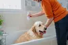 VIRBAC Allerderm empfindliche haut - shampoo für hunde und Produktbild-Vorschau 3