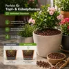 Lavagestein 5 Liter Ø 1–5 mm – Mineralisches Pflanzgranulat Produktbild-Vorschau 5