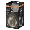 OSRAM LED Vintage Edition 1906, base: E27, dimmerabile, Anteprima dell’immagine prodotto 4