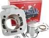 Kit cilindro Airsal Alu-Sport da 70 ccm, raffreddato ad Anteprima dell’immagine prodotto 2