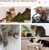 PawHut Katzenkratzbaum Klein Katzenspielzeug Katzenbaum Produktbild-Vorschau 6