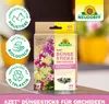 Neudorff  - Azet DüngeSticks für Orchideen 40 Sticks Produktbild-Vorschau 5