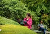 Bosch Advanced HedgeCut 65, 65 cm, Podwójne ostrze, 3,4 cm, Podgląd zdjęcia produktu 28
