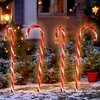Four illuminated candy canes are placed in the snow in front of a house with Christmas lights. Voir les images du produit