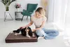 Orthopedisch hondenbed, hondenmatras, Welsti bruin, model Productafbeelding-voorbeeld 3