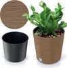 A plant in a pot, with a separate pot and a close-up of the pot's texture shown. Náhled obrázku produktu