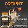 Gemini said Complément Articulations Chien et Chat, 120 Voir les images du produit 2