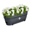 elho® Vibia campana Pflanzkasten Anthrazit 50 cm mit Halter Produktbild-Vorschau 6