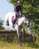 QHP Q-Cross Eventing Gamaschen hinten Produktbild-Vorschau 7