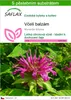SAFLAX - včelí balzám - Monarda didyma - 20 Semena - S Náhled obrázku produktu 1