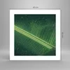 Poster - Poster ohne Rahmen - Makro Blatt Tropfen - 40x40 Produktbild-Vorschau 4