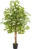 tectake® Künstlicher Ficusbaum Fida verschiedene Größen Produktbild-Vorschau 9