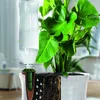 Adapter do butelek BioGreen 4x do systemu nawadniania Podgląd zdjęcia produktu 6