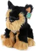 RAPPA Plyšový pes Yorkshire Terrier 30 cm ECO-FRIENDLY Náhľad obrázku produktu 3