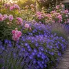 Stauden Gänge 5 x Geranium 'Rozanne ®' im 1 Liter Topf - Produktbild-Vorschau 4
