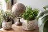 Květináč Clayre & Eef Ø 12x9 cm Šedobéžový keramický Náhled obrázku produktu 3