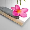 Bilder auf glas - Ruhig blume dekoration stein - 100x70cm - Produktbild-Vorschau 5