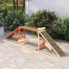 PawHut - Passerelle d'agilité pour chiens - Équipement Voir les images du produit 3