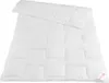 Schlaf-Gut Utah Duo-Steppbett Winterdecke Größe 135x200 cm Produktbild-Vorschau 6