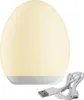 A white egg-shaped lamp with a white USB cable. Produktbild-Vorschau
