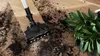 A vacuum cleaner head is shown cleaning up spilled soil on a wooden floor next to a potted plant. Produktbild-Vorschau