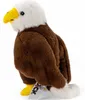 Carl Dick aquila nidiacea, uccello, ca. 18 cm 3559 peluche, Anteprima dell’immagine prodotto 5