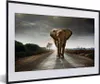 MuchoWow® MuchoWow® Gerahmtes Poster Elefant - Natur - Produktbild-Vorschau 1