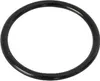 Bestway® Ersatzteil O-Ring (Wasserzulauf) für LAY-Z-SPA® Produktbild-Vorschau 1