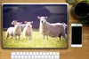 MuchoWow® Laptop Aufkleber Sticker Cover Schaf - Lamm - Produktbild-Vorschau 2