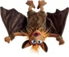 A plush toy bat hanging upside down against a white background. Produktbild-Vorschau