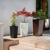 Three planters with plants on a patio. Anteprima dell’immagine prodotto