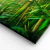 Bild auf Leinwand - Leinwandbild - Bambus Pflanze - 70x50cm Produktbild-Vorschau 5