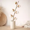 Baumwollzweig Natur 65–75cm - Getrocknet - 6 Dolden - Boho Produktbild-Vorschau 6