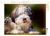 Calvendo Der PON 1000 Teile Puzzle quer 640x480mm, Roder Produktbild-Vorschau 3