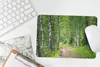 MuchoWow® Mauspad Mousepad Wald - Bäume - Birke 27x18 cm - Produktbild-Vorschau 4