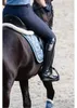 Eskadron Classic Sports Schabracke " GLOSSY JEWEL " mit Produktbild-Vorschau 3