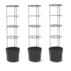 Set 3x Tomatenpflanze aus Kunststoff Pflanzkübel 18 L, Produktbild-Vorschau 4