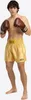 Herren Thaibox-Hose UNI THAI Gold XS BENLEE Produktbild-Vorschau 3