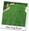 Dog Rocks - proti vypalovaniu trávnika Náhľad obrázku produktu 4