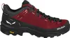 Schuhe Salewa Alp Trainer 2 Gtx 614011575 Produktbild-Vorschau 2