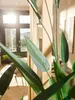 Smaragdová umělá rostlina Heliconia zelená 125 cm 419837 Náhled obrázku produktu 7