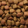 VERSELE-LAGA Classic Duo Krok - sucha karma dla psów - 20 Podgląd zdjęcia produktu 9