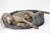 Komfortbett oval „JOSI“ braun Produktbild-Vorschau 3