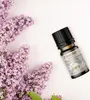Duftöl 10ml Grosse Auswahl II  Duftlampe Duftstein Aromaöl Produktbild-Vorschau 12
