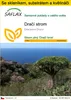 SAFLAX Kultivační sada - dračí strom - Dracaena Draco - 5 Náhled obrázku produktu 1