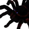 Obrovský pavúk na diaľkové ovládanie Tarantula s diaľkovým Náhľad obrázku produktu 9